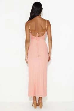 Flaunt It Girl Frill Mesh Maxi Dress Pink -Hello Molly Shop 230713HM 1140 1691539447