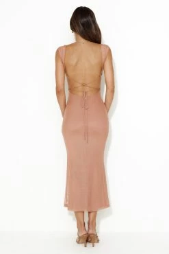 Beauty Guide Backless Mesh Maxi Dress Pink -Hello Molly Shop 230804HM 1960 1693182545 b1c3d016 0c76 4797 ab69 776037317ae7