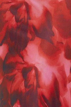 Design Worthy Mesh Maxi Dress Red -Hello Molly Shop 230818HM 0950 1694051238 51d03935 9dbb 45c4 ad95 f273bd99a57b