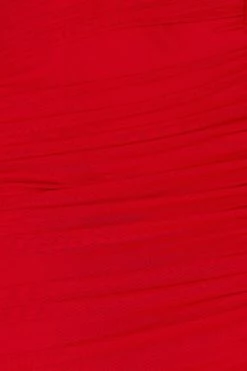 Tango Tease Strapless Mesh Mini Dress Red -Hello Molly Shop 231103HM 0430 1700192382