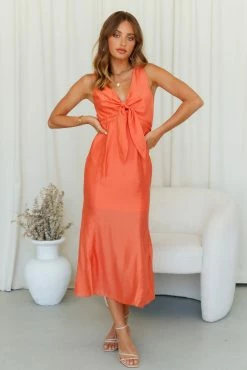 What The Heart Needs Maxi Dress -Hello Molly Shop A03I5458 1634792831