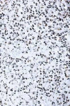 Party Mood Sequin Maxi Dress Silver 17 Party Mood Sequin Maxi Dress Silver -Hello Molly Shop Capture 20One 20Catalog 0712 1672898475 4d41d76e c3e6 450b ba45 71726586db61